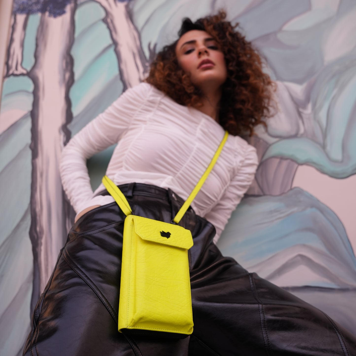 Nova Phone Bag